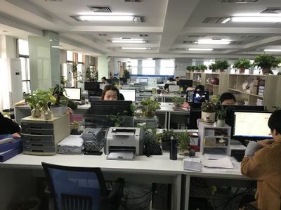 工商管理學院與安徽鑫怡財務(wù)公司洽談校企合作 共促信息咨詢服務(wù)發(fā)展