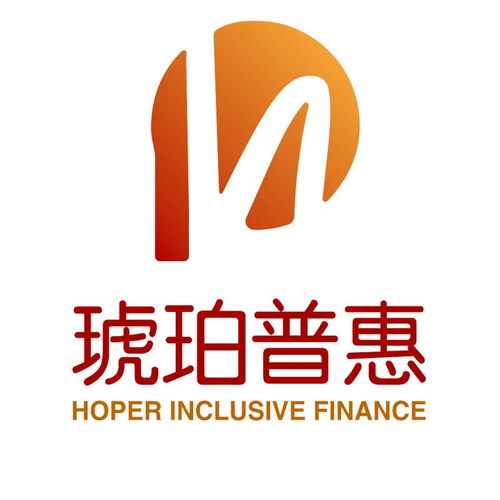 深圳琥珀普惠信息咨詢服務 專業引領，信息賦能